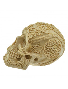 Crâne en résine sculptée