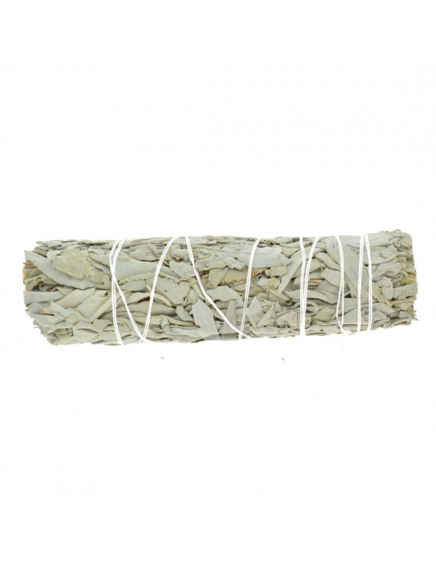 Sauge Blanche Californie Ficelle 50g