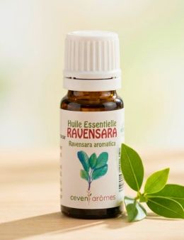 Huile essentielle Ravensara - 10 ml
