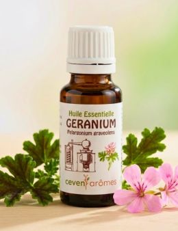 Huile essentielle de Géranium 20 ml avec Compte-gouttes