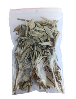 Sauge blanche amérindienne en vrac - sachet de 30g