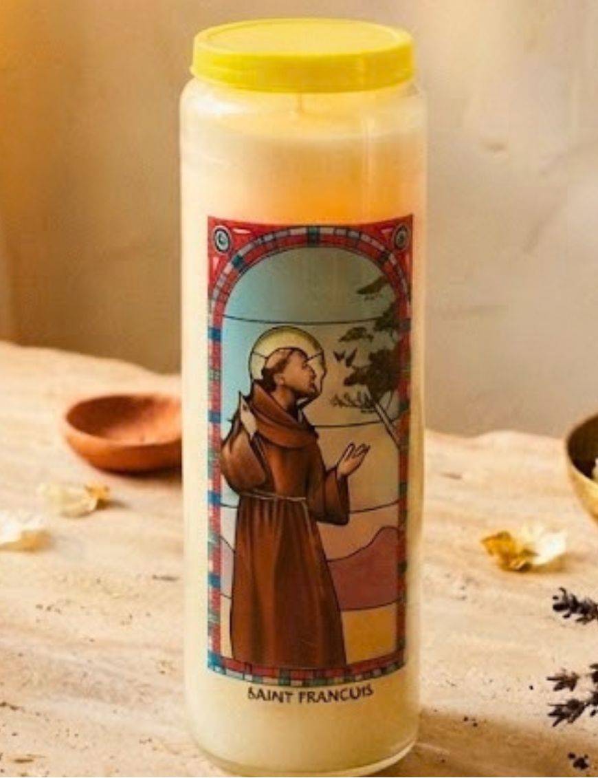 Neuvaine vitrail Saint François : 9 jours, paix et pardon