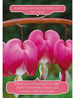 Messages de guérison des fleurs - Doreen VIRTUE - coffret de 44 cartes 10 x 14 -oracle et un livre explicatif
