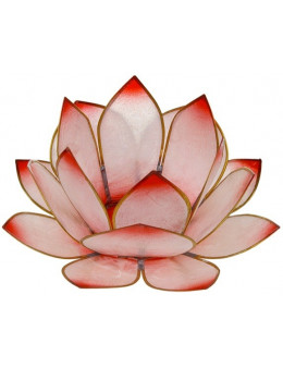 Lotus Lever du Soleil