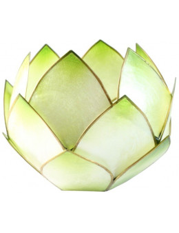 Lotus Crépuscule
